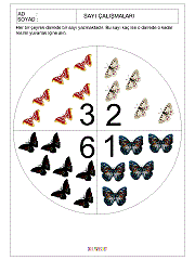 kavram gelişim çalışmaları sayılar